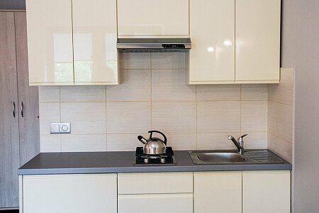 Aneks kuchenny - apartament 9