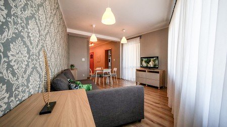 Apartament nr 1 salon