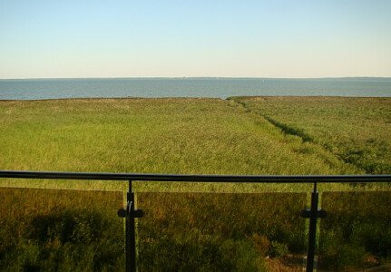 Widok z Tarasu