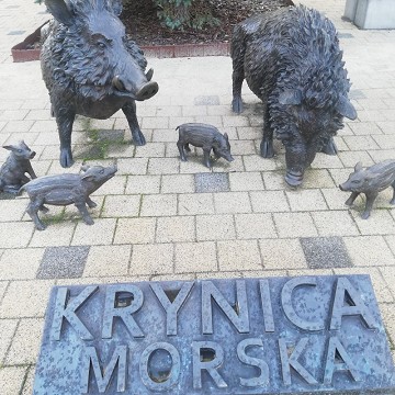 Pomnik Dzików
