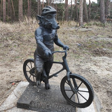 Dzik Rowerzysta
