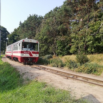 Żuławska Kolej Dojazdowa - przystanek MIKOSZEWO