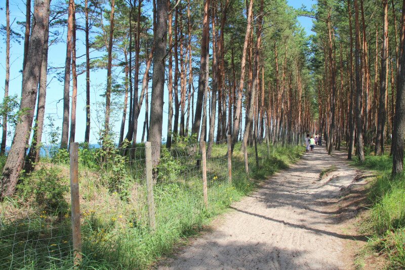 AKTUALNE RAPORTY KĄPIELISK