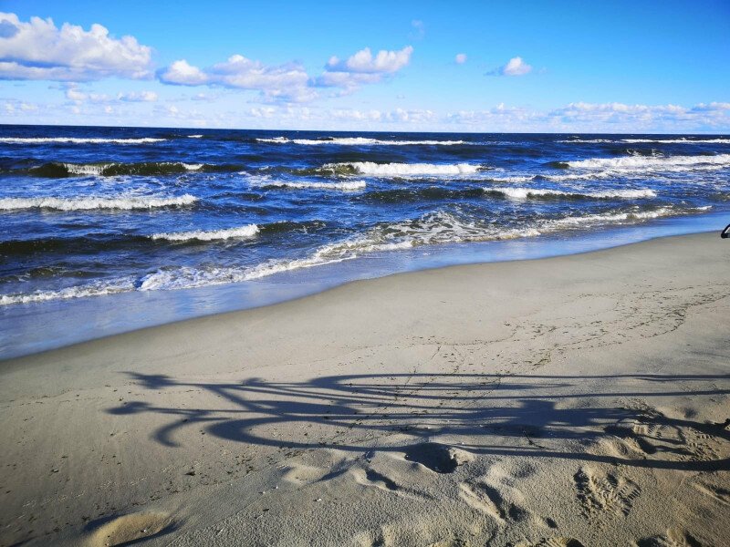 Szum morza i drobniutki piasek pod stopami pomoże przygotować się do kolejnego roku szkolnego ;)