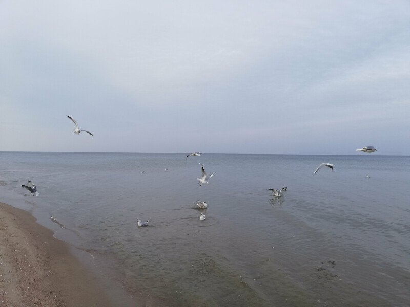 Pięknie jak zawsze ale cicho i pusto jak nigdy