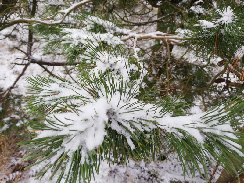    Piękna, zaśnieżona, cicha i spokojna mierzeja 