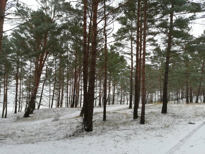    Piękna, zaśnieżona, cicha i spokojna mierzeja 