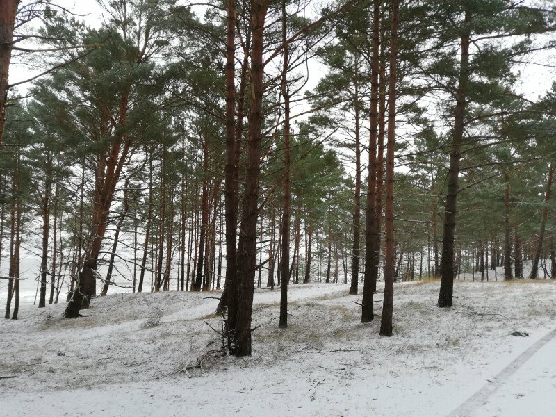    Piękna, zaśnieżona, cicha i spokojna mierzeja 