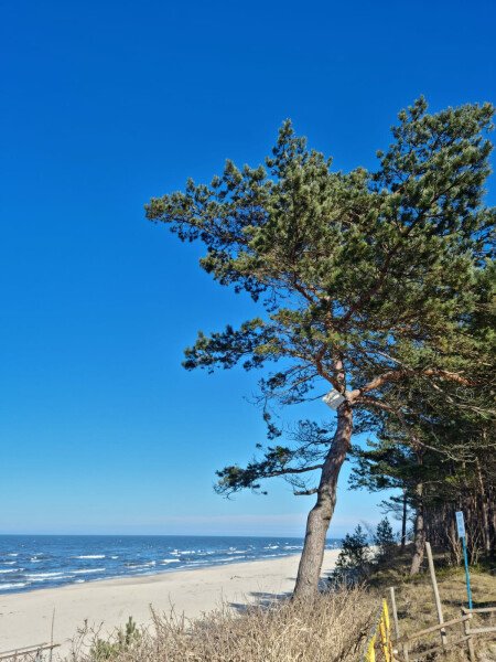 Zarezerwuj już teraz by odpocząć pośród słońca i plaż