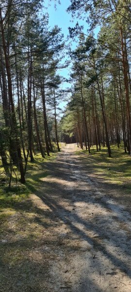 Zbliża się majówka