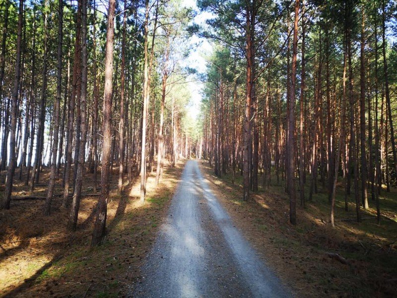 Szlak rowerowy R10 na Mierzei Wiślanej