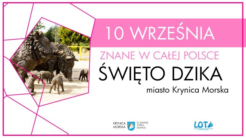 Święto Dzika 17.09.2022