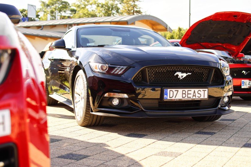 Fotorelacja ze zlotu "PRZYSTANEK PÓŁNOC - ZLOT FORD MUSTANG"