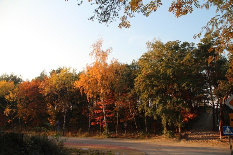 Długi weekend listopadowy na Mierzei Wiślanej