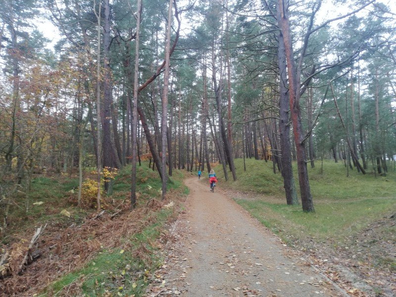 W listopadowy długi weekend licznie odwiedziliście Mierzeję Wiślaną