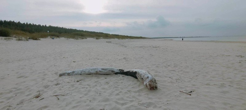 Wiosna tuż za rogiem