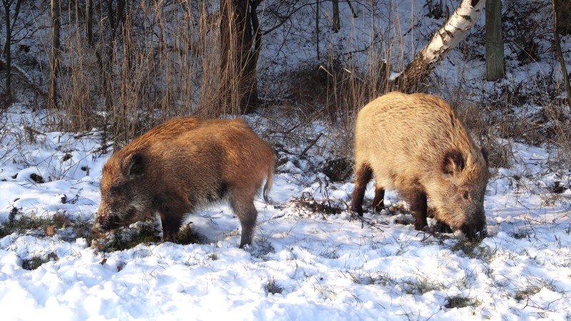 Na ferie? Na Mierzeję!