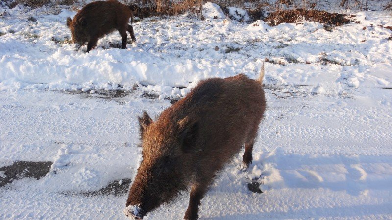 Na ferie? Na Mierzeję!