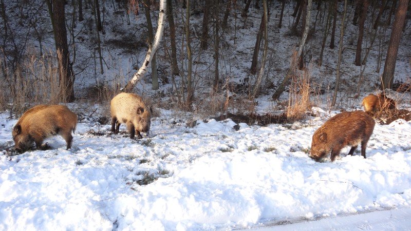 Na ferie? Na Mierzeję!