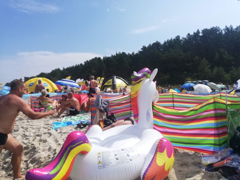 Projekt Plaża TVN w Krynicy Morskiej
