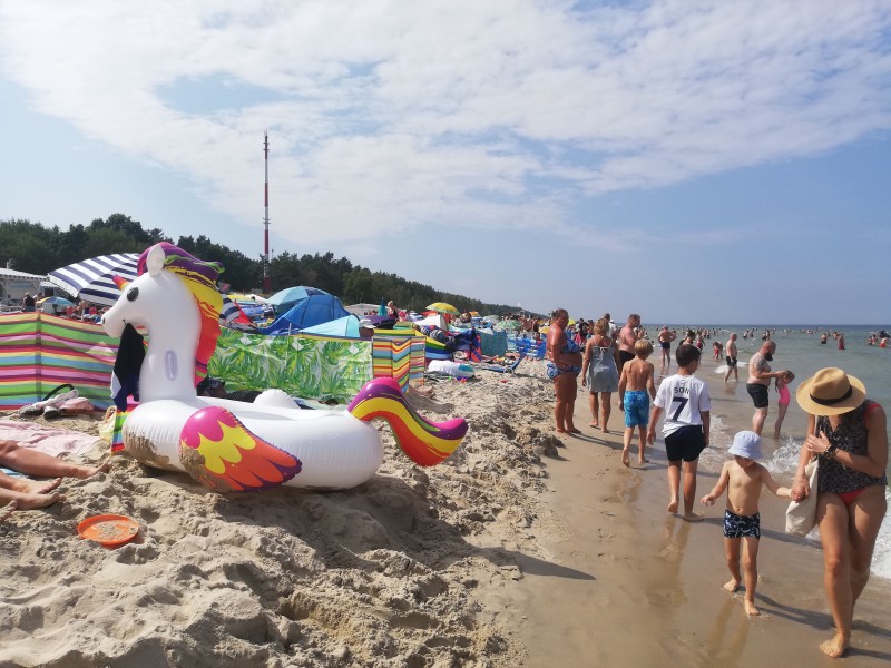Projekt Plaża TVN w Krynicy Morskiej