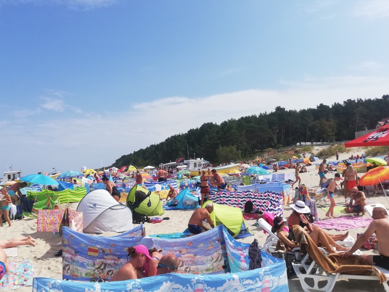 Projekt Plaża TVN w Krynicy Morskiej