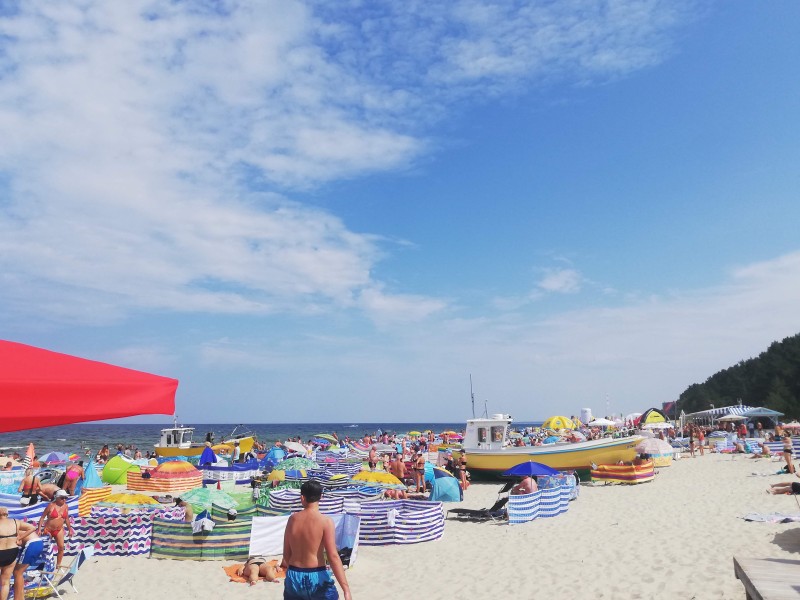 Projekt Plaża TVN w Krynicy Morskiej