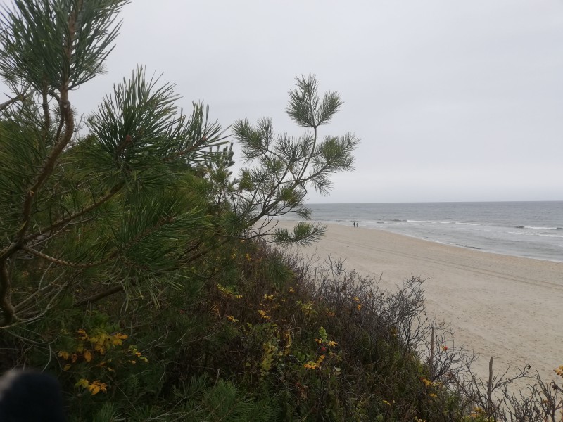 Galeria handlowa pęka w szwach w black friday więc zapraszamy na Mierzeję Wiślaną gdzie na plaży ludzi garstka