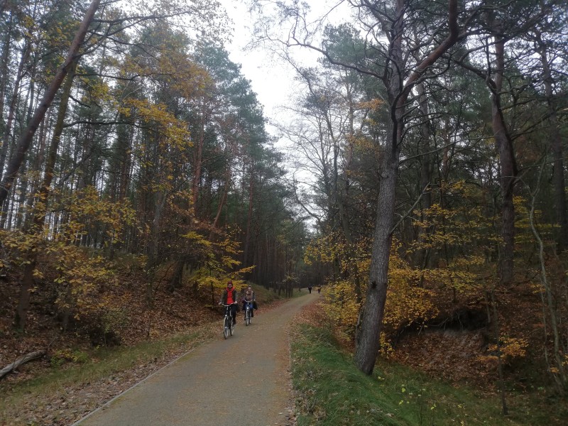 Galeria handlowa pęka w szwach w black friday więc zapraszamy na Mierzeję Wiślaną gdzie na plaży ludzi garstka