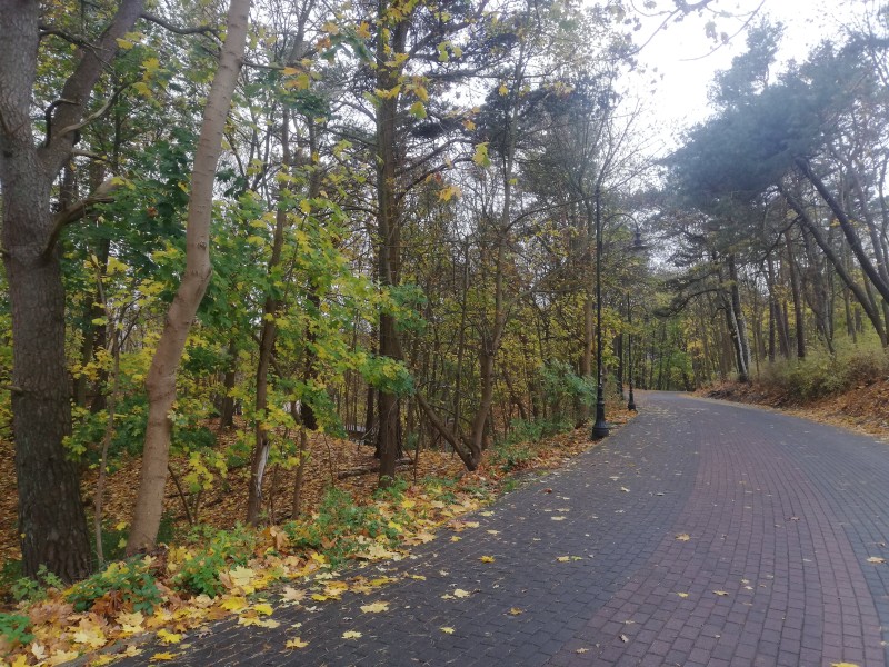 Galeria handlowa pęka w szwach w black friday więc zapraszamy na Mierzeję Wiślaną gdzie na plaży ludzi garstka