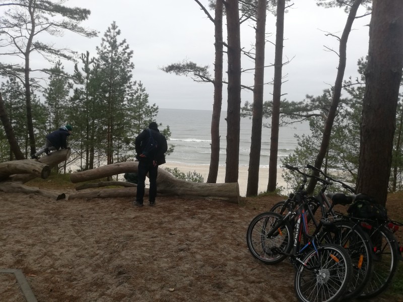 Galeria handlowa pęka w szwach w black friday więc zapraszamy na Mierzeję Wiślaną gdzie na plaży ludzi garstka