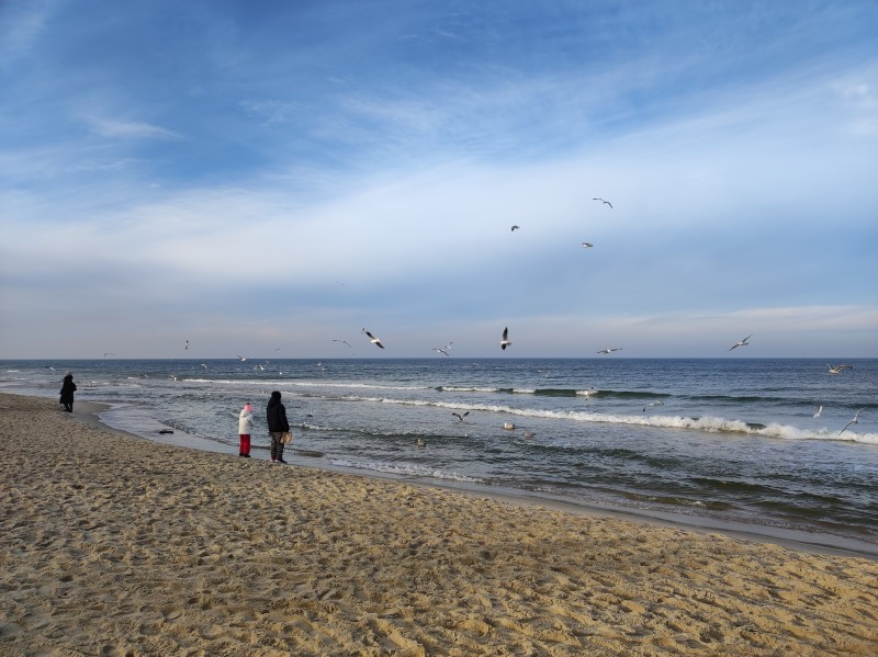 Pomysły na sylwestrowe pobyty