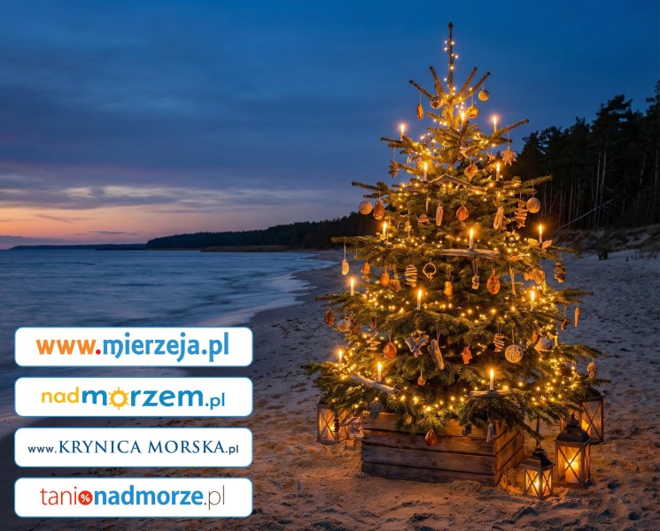 Wesołych Świąt i pomyślnego Nowego Roku!