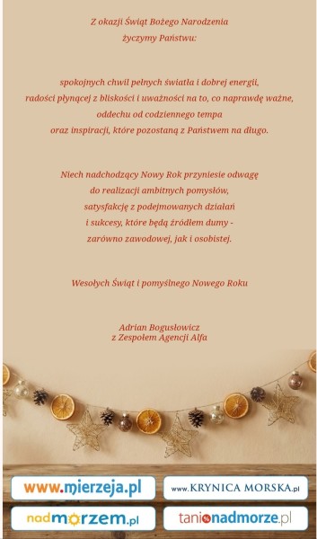 Wesołych Świąt i pomyślnego Nowego Roku!