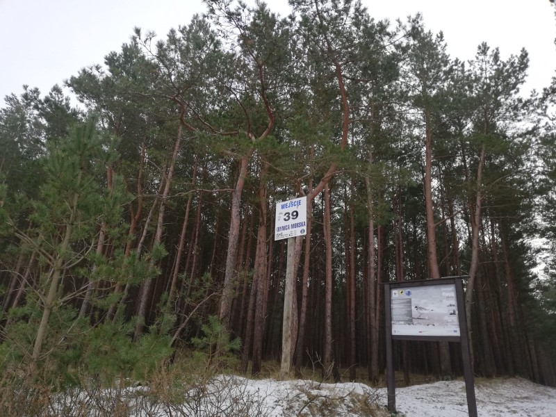 Na ferie... na Mierzeję Wiślaną!