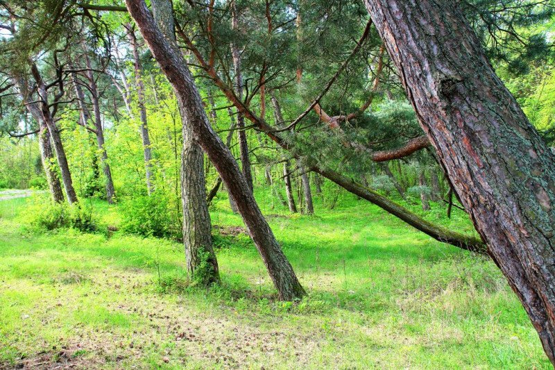 A może by tak Wielkanoc nad morzem :) 