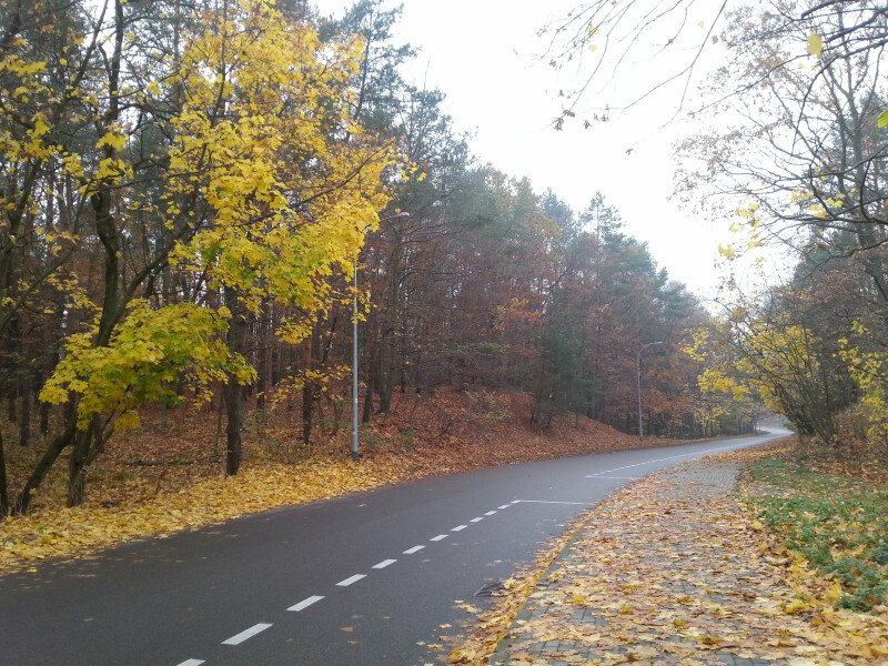 Tak było w długi listopadowy weekend